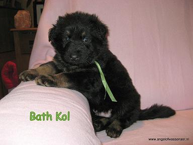 Bath Kol